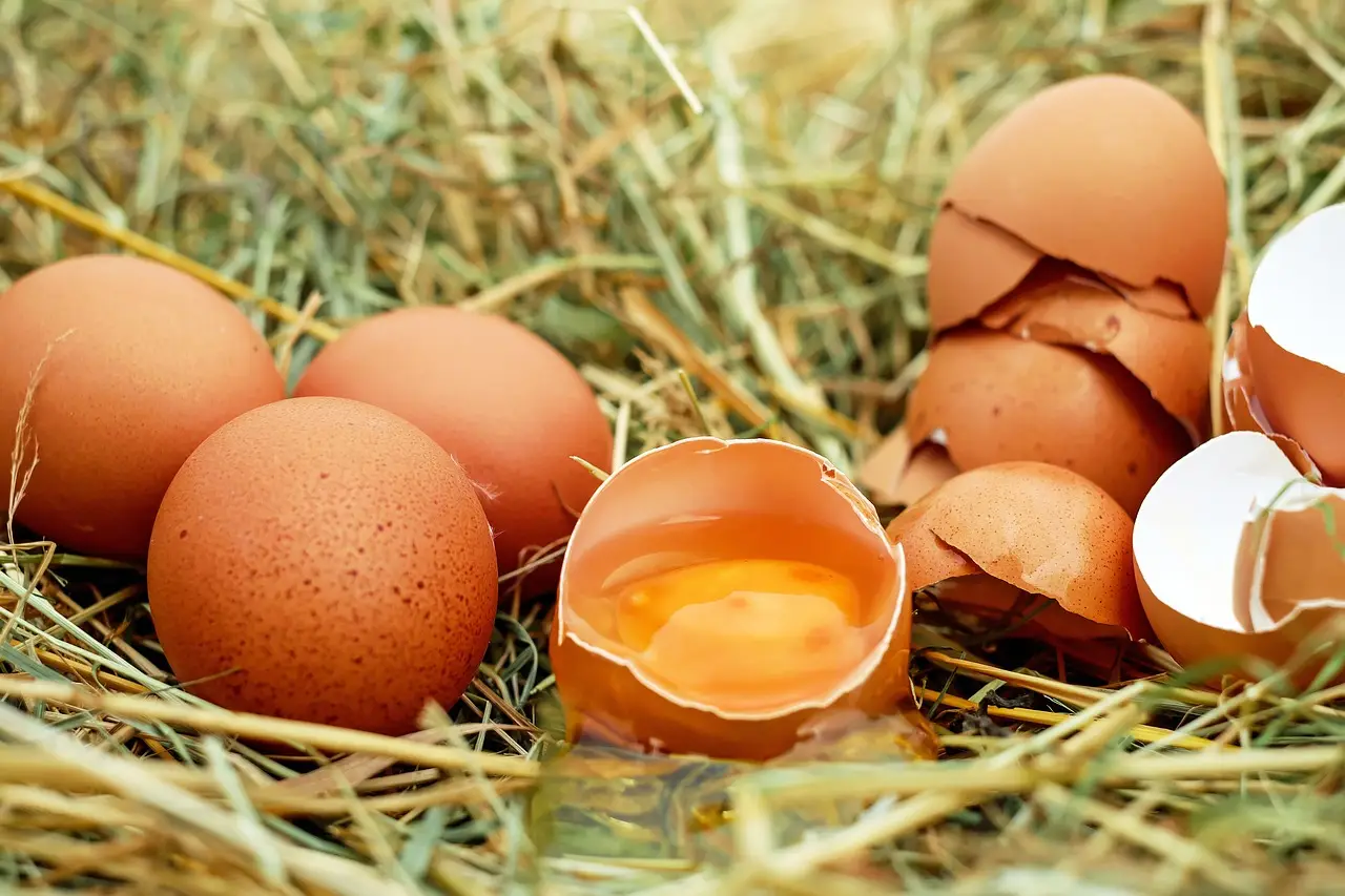 Ecco i minuti esatti per cuocere un uovo e ottenere il massimo dei nutrienti Immagine selezionata