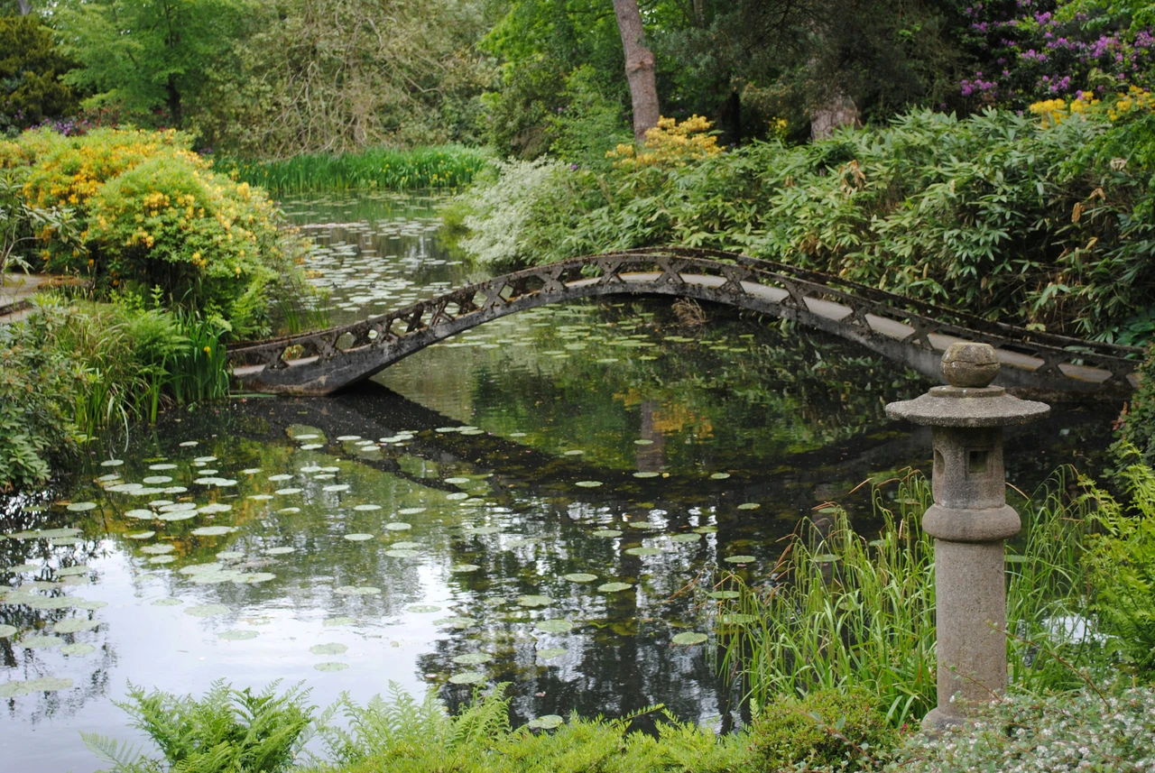Il giardino orientale che incanta l’Italia: questi i 40 anni di magia tra fiori e tradizione giapponese Immagine selezionata
