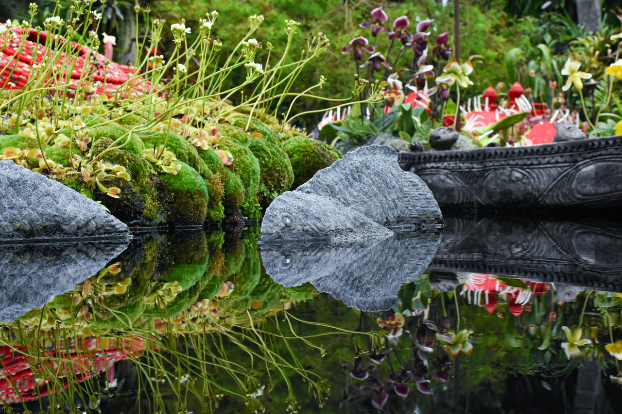 Il giardino orientale che incanta l’Italia: questi i 40 anni di magia tra fiori e tradizione giapponese Immagine selezionata