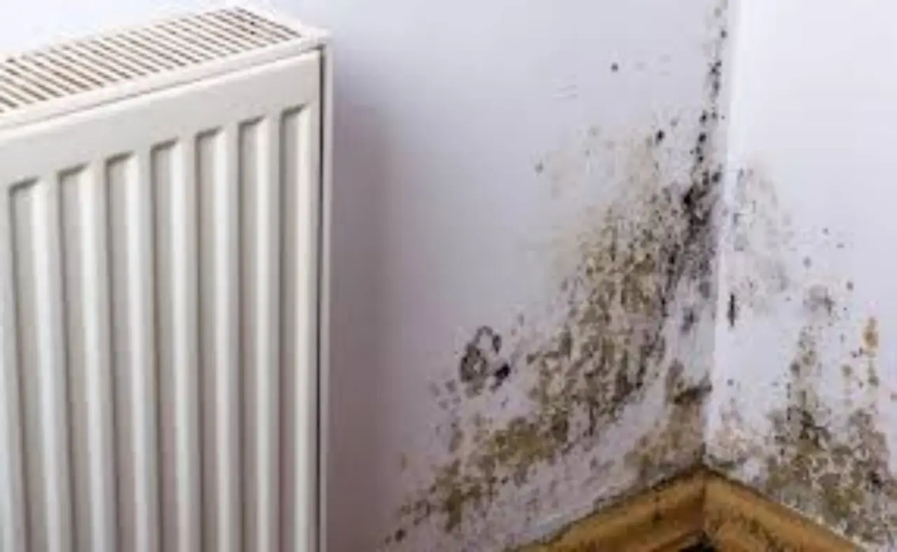 Consigli pratici per prevenire la muffa nel bagno con finestra Immagine selezionata