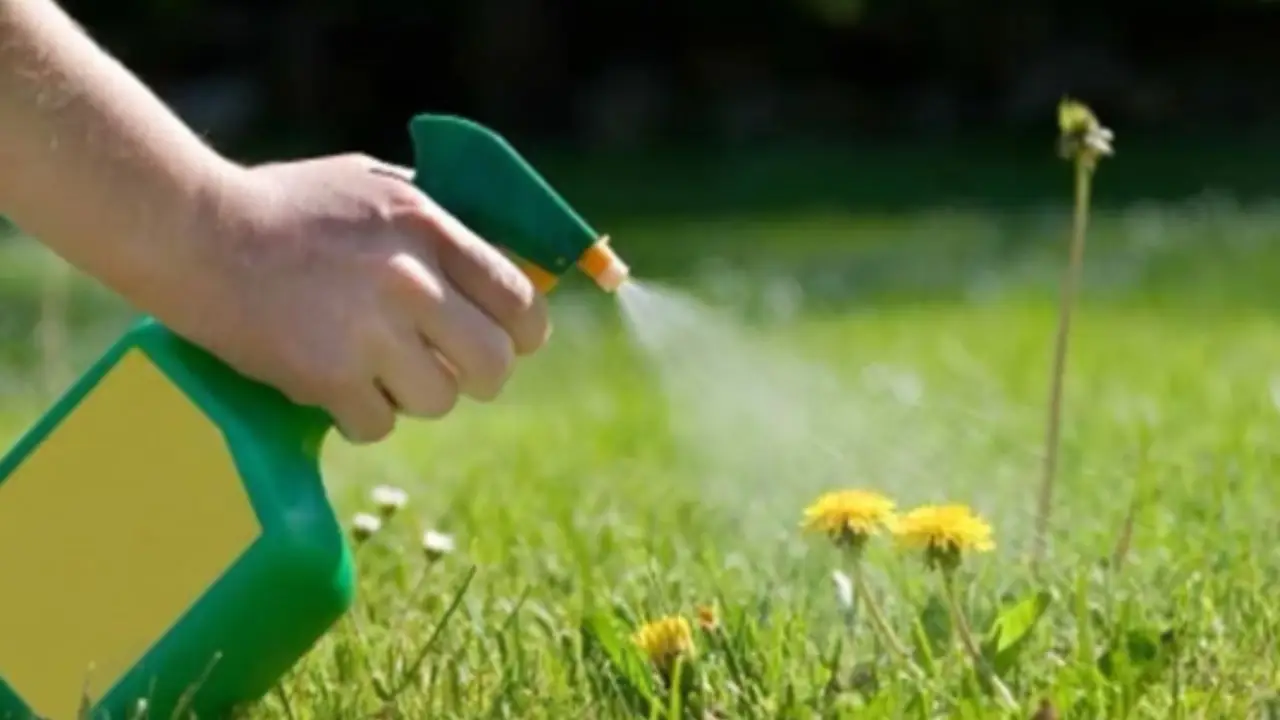 Diserbante naturale più efficace dei prodotti chimici come realizzarlo in casa Immagine selezionata