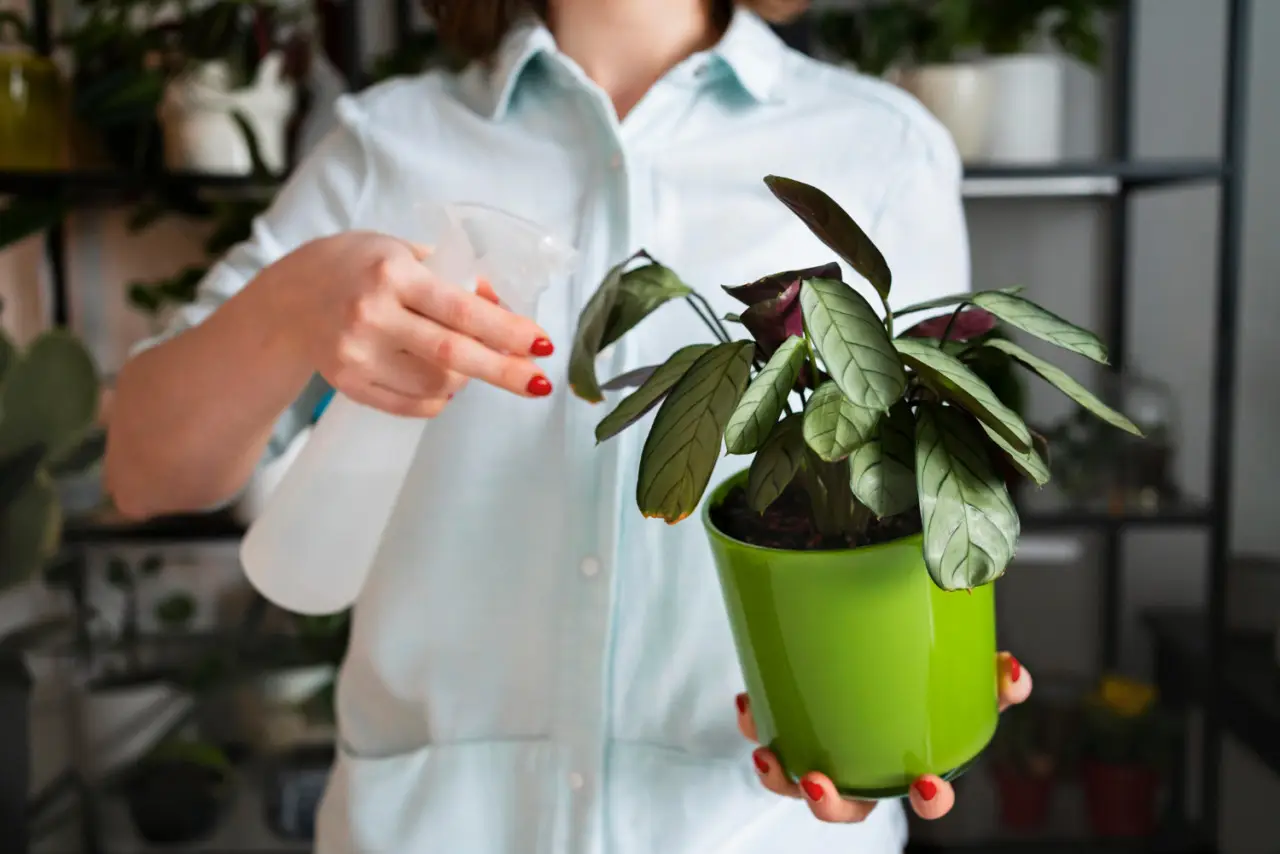 Il metodo efficace per ridare vita a una pianta appassita Immagine selezionata