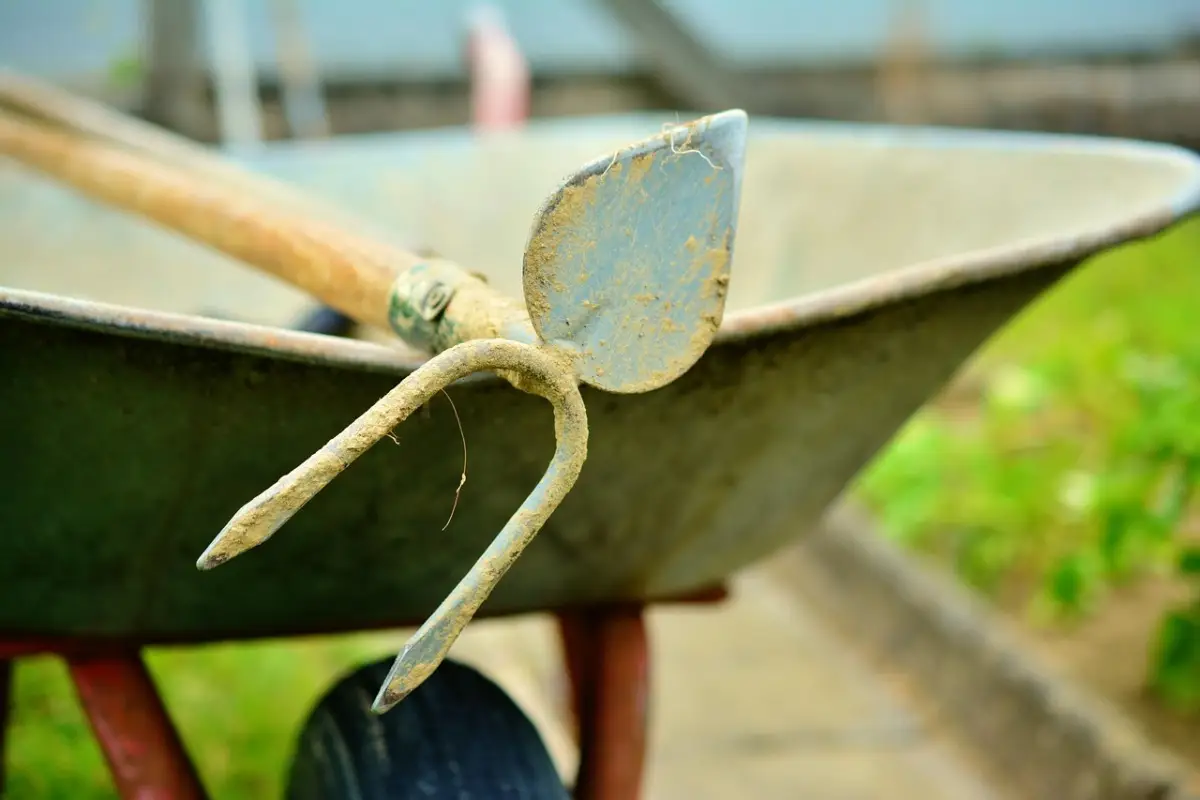 Il modo giusto per disinfettare gli attrezzi da giardino Immagine selezionata