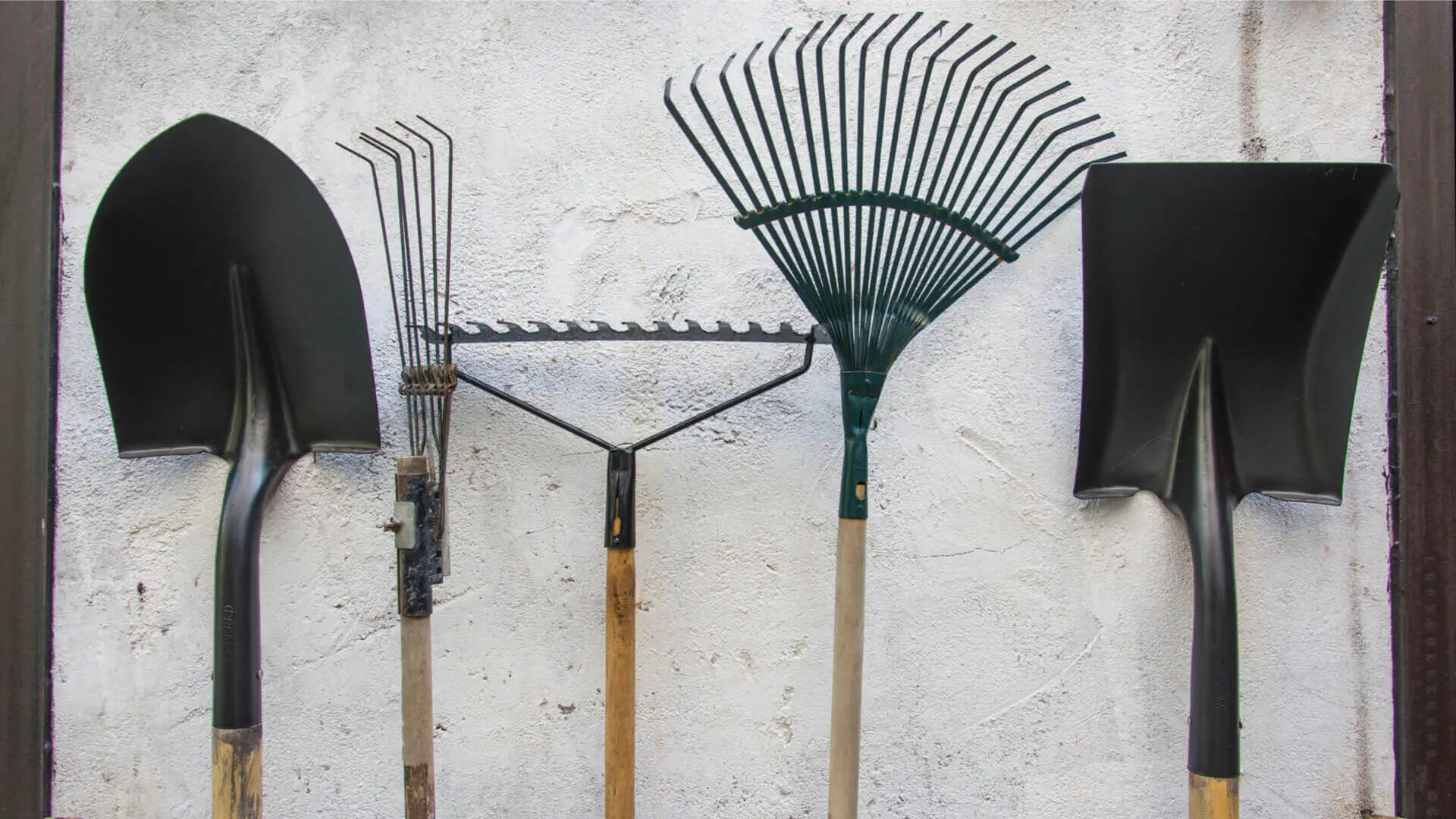 Il modo giusto per disinfettare gli attrezzi da giardino Immagine selezionata