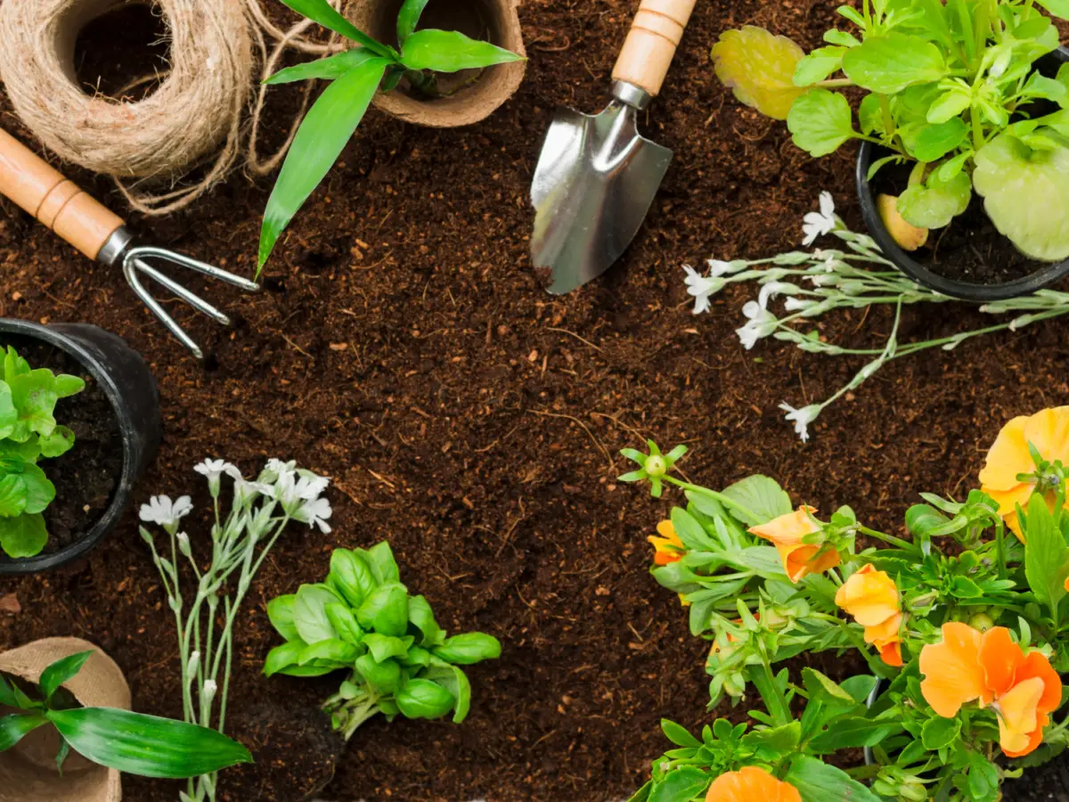 Il modo giusto per disinfettare gli attrezzi da giardino Immagine selezionata