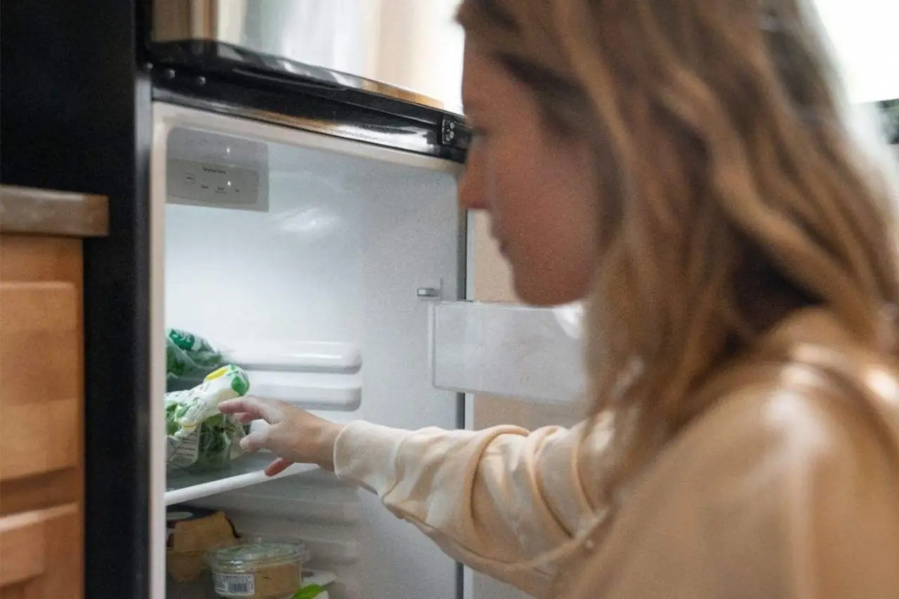 Metti una moneta nel freezer prima di partire: ecco il segreto geniale che può salvarti le vacanze Immagine selezionata