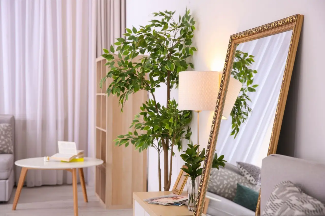 Guida pratica per pulire la cornice dello specchio senza rovinarla Guida pratica per pulire la cornice dello specchio senza rovinarla