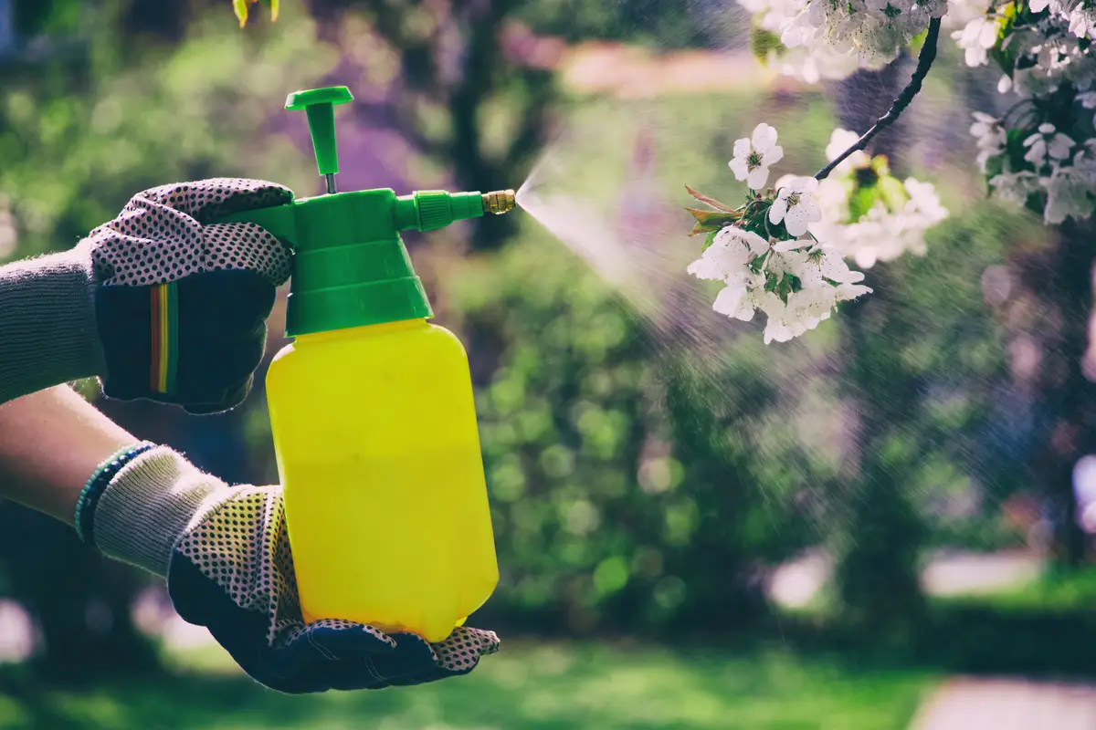 Diserbo naturale, la potente soluzione al sale che pochi conoscono Diserbo naturale, la potente soluzione al sale che pochi conoscono