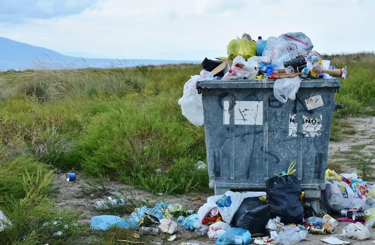 Attenzione all’igiene della pattumiera per evitare cattivi odori Attenzione all’igiene della pattumiera per evitare cattivi odori