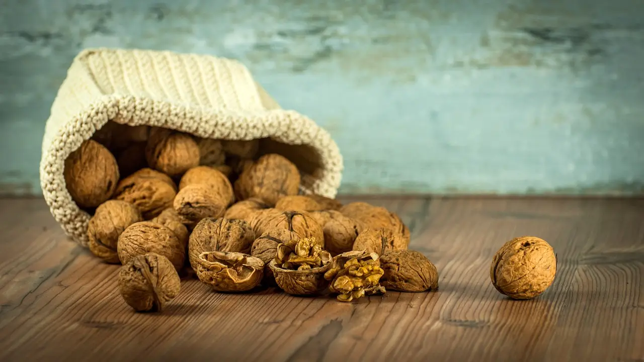 Colesterolo sotto controllo con il consumo quotidiano di noci Colesterolo sotto controllo con il consumo quotidiano di noci