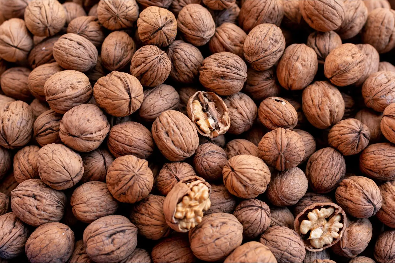 Colesterolo sotto controllo con il consumo quotidiano di noci Colesterolo sotto controllo con il consumo quotidiano di noci